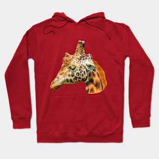 Mr Knobbles the Giraffe Hoodie